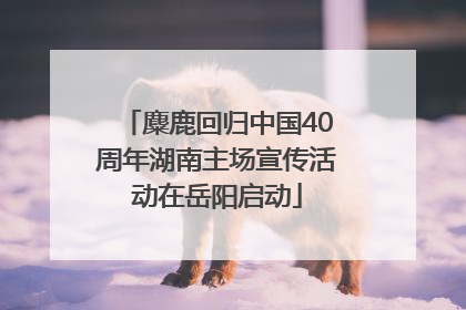 麋鹿回归中国40周年湖南主场宣传活动在岳阳启动