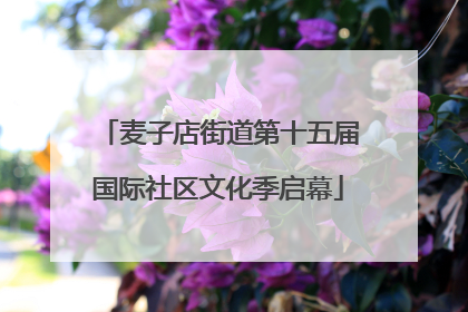 麦子店街道第十五届国际社区文化季启幕