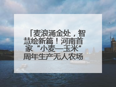 麦浪涌金处，智慧绘新篇！河南首家“小麦—玉米”周年生产无人农场喜迎丰收