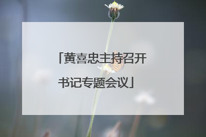 黄喜忠主持召开书记专题会议