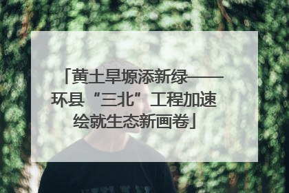 黄土旱塬添新绿——环县“三北”工程加速绘就生态新画卷