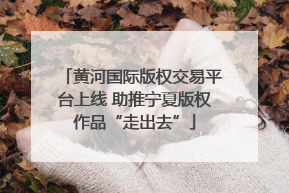 黄河国际版权交易平台上线 助推宁夏版权作品“走出去”