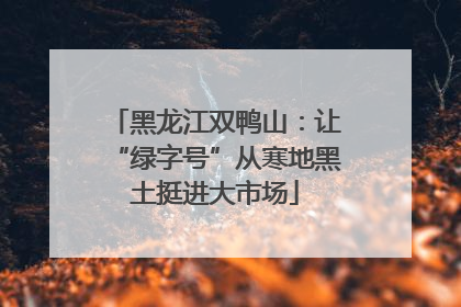 黑龙江双鸭山：让“绿字号”从寒地黑土挺进大市场