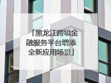 黑龙江跨境金融服务平台增添全新应用场景