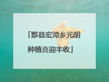 黟县宏潭乡元胡种植喜迎丰收
