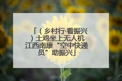 （乡村行·看振兴）土鸡坐上无人机 江西南康“空中快递员”助振兴