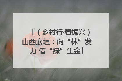（乡村行·看振兴）山西襄垣：向“林”发力 借“绿”生金