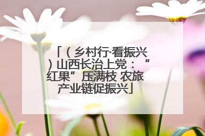（乡村行·看振兴）山西长治上党：“红果”压满枝 农旅产业链促振兴