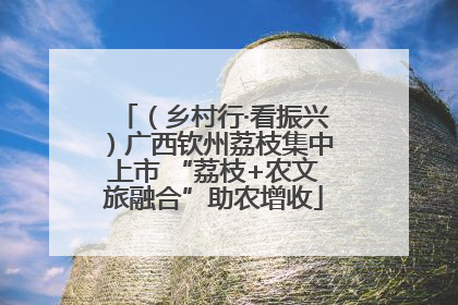 （乡村行·看振兴）广西钦州荔枝集中上市 “荔枝+农文旅融合”助农增收