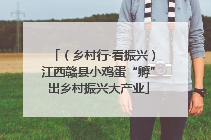 （乡村行·看振兴）江西赣县小鸡蛋“孵”出乡村振兴大产业
