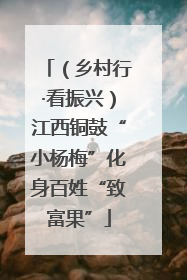 （乡村行·看振兴）江西铜鼓“小杨梅”化身百姓“致富果”