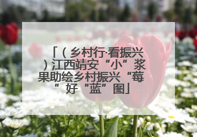 （乡村行·看振兴）江西靖安“小”浆果助绘乡村振兴“莓”好“蓝”图