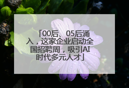 00后、05后涌入，这家企业启动全国招聘周，吸引AI时代多元人才