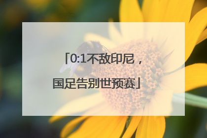 0:1不敌印尼，国足告别世预赛