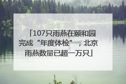 107只雨燕在颐和园完成“年度体检”，北京雨燕数量已超一万只