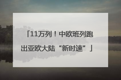 11万列！中欧班列跑出亚欧大陆“新时速”