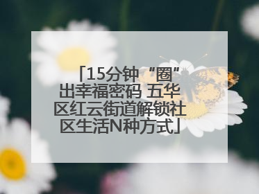 15分钟“圈”出幸福密码 五华区红云街道解锁社区生活N种方式