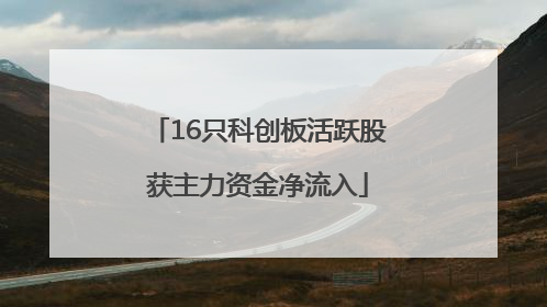 16只科创板活跃股获主力资金净流入