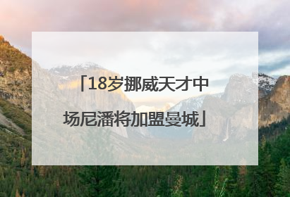 18岁挪威天才中场尼潘将加盟曼城