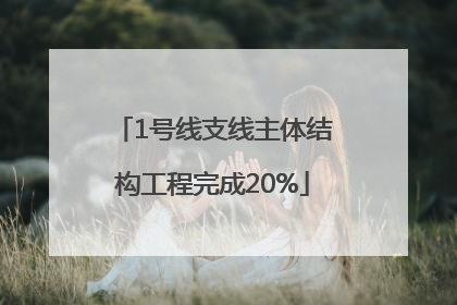 1号线支线主体结构工程完成20%