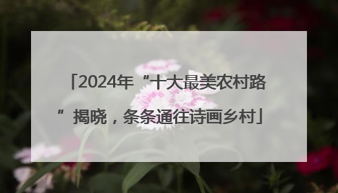 2024年“十大最美农村路”揭晓，条条通往诗画乡村