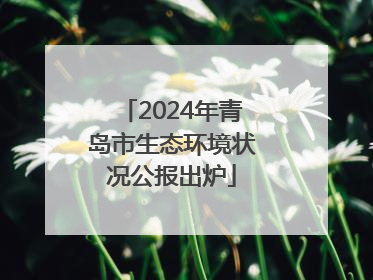 2024年青岛市生态环境状况公报出炉