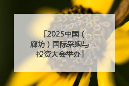 2025中国（廊坊）国际采购与投资大会举办