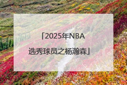 2025年NBA选秀球员之杨瀚森