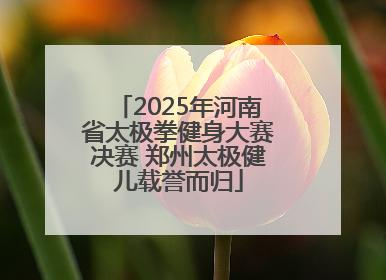 2025年河南省太极拳健身大赛决赛 郑州太极健儿载誉而归