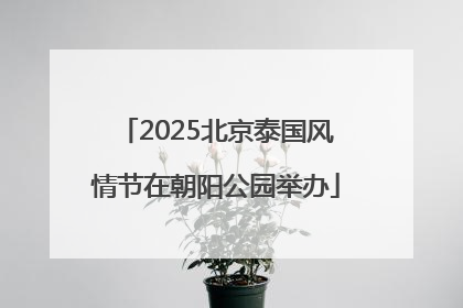 2025北京泰国风情节在朝阳公园举办