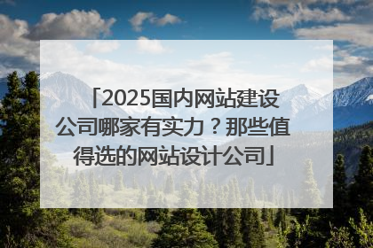 2025国内网站建设公司哪家有实力？那些值得选的网站设计公司
