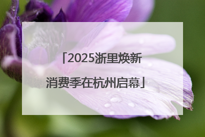 2025浙里焕新消费季在杭州启幕