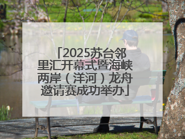 2025苏台邻里汇开幕式暨海峡两岸（洋河）龙舟邀请赛成功举办