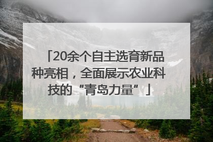 20余个自主选育新品种亮相，全面展示农业科技的“青岛力量”