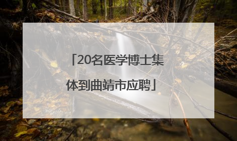 20名医学博士集体到曲靖市应聘