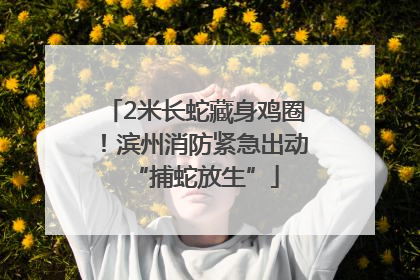 2米长蛇藏身鸡圈！滨州消防紧急出动“捕蛇放生”