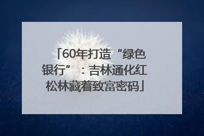 60年打造“绿色银行”：吉林通化红松林藏着致富密码