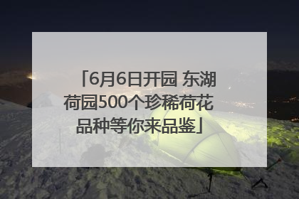 6月6日开园 东湖荷园500个珍稀荷花品种等你来品鉴