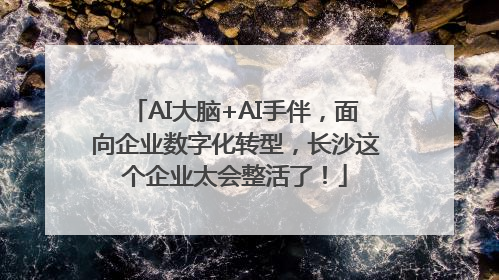 AI大脑+AI手伴，面向企业数字化转型，长沙这个企业太会整活了！