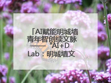 AI赋能明城墙 青年智创续文脉——“AI+D Lab：明城墙文化遗产设计工作坊”在南京开营