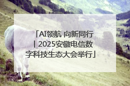 AI领航 向新同行丨2025安徽电信数字科技生态大会举行