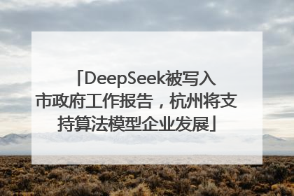 DeepSeek被写入市政府工作报告，杭州将支持算法模型企业发展