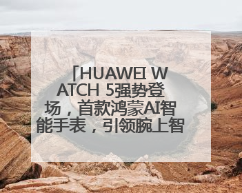 HUAWEI WATCH 5强势登场，首款鸿蒙AI智能手表，引领腕上智慧科技新纪元