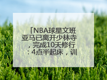 NBA球星文班亚马已离开少林寺，完成10天修行：4点半起床，训练强度高于武僧